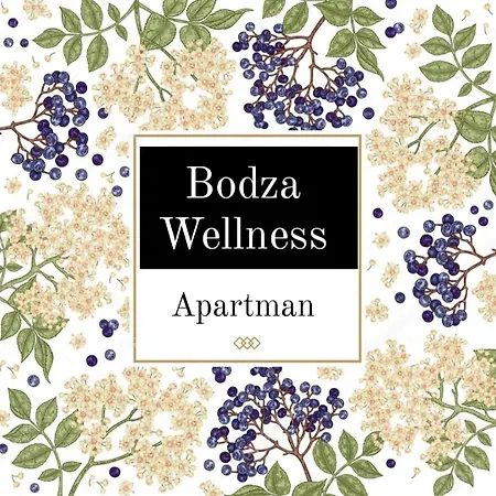 Bodza Wellness * Hajdúszoboszló